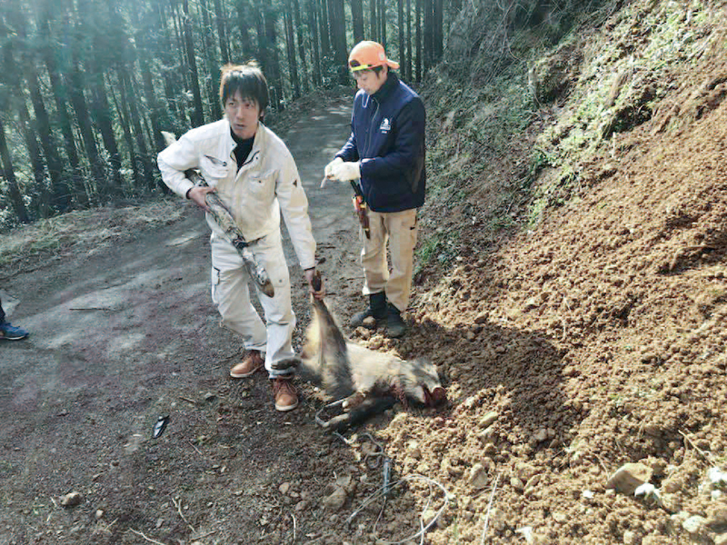 狩猟体験